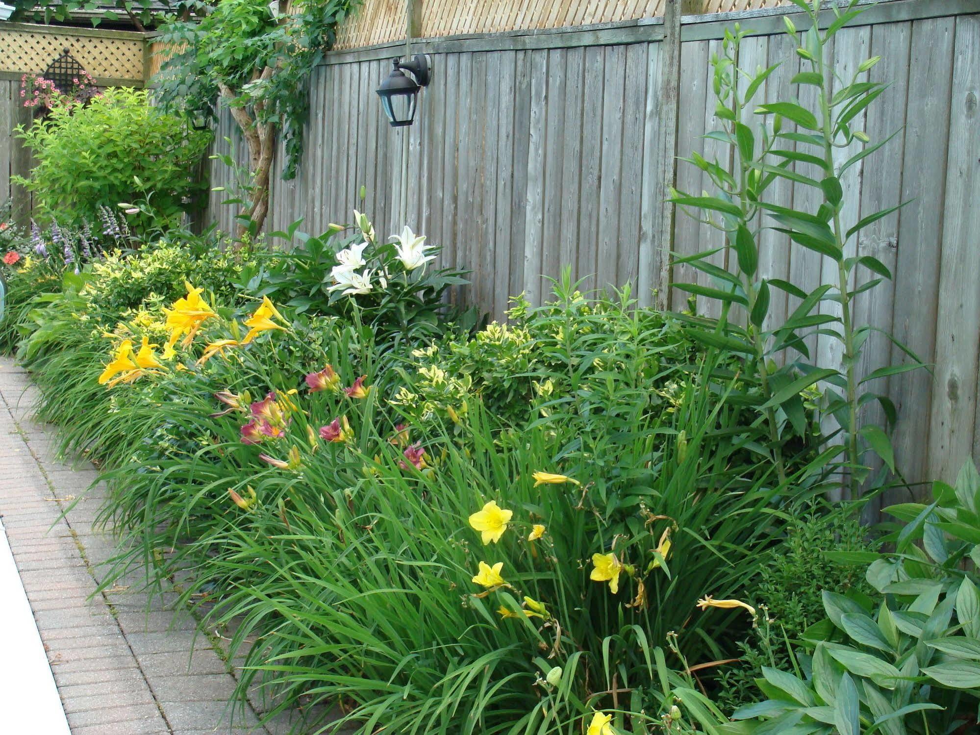 Robinsong Bed & Breakfast Thorold Exterior foto